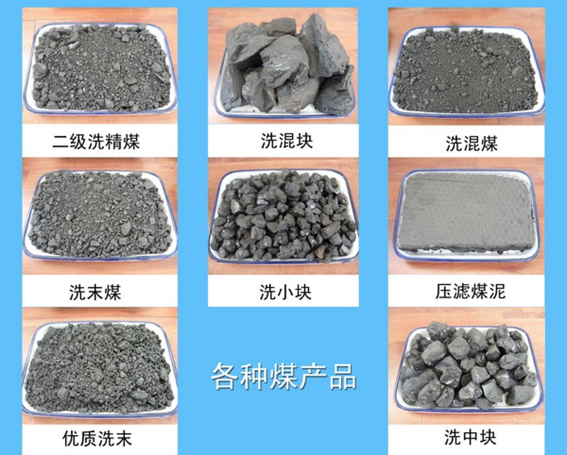 洗精煤